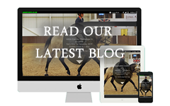 Read our Latest Equine Article